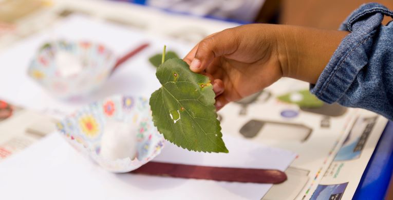 Making Art with Nature